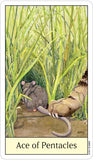 Cat's Eye Tarot - Lohas New Age Store
