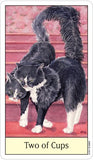 Cat's Eye Tarot - Lohas New Age Store
