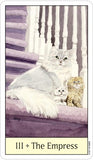 Cat's Eye Tarot - Lohas New Age Store