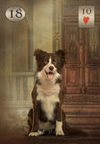 Thelema Lenormand Oracle - Lohas New Age Store