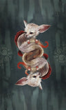 Wisdom of the Wild Things Oracle - Lohas New Age Store