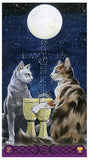Tarot of Pagan Cats - Lohas New Age Store