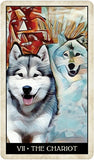 Wise Dog Tarot - Lohas New Age Store